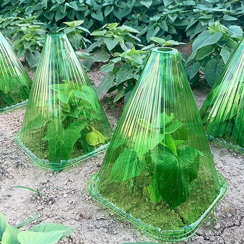 Housse de protection pour plantes de jardin, 10 pièces, fournitures de protection multifonctions pou