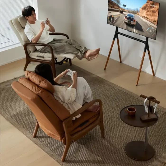 Fauteuils de salon en cuir