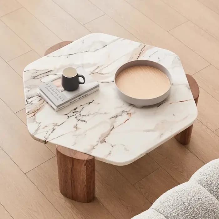Table Basse esthétique De beauté nordique Premium minimaliste