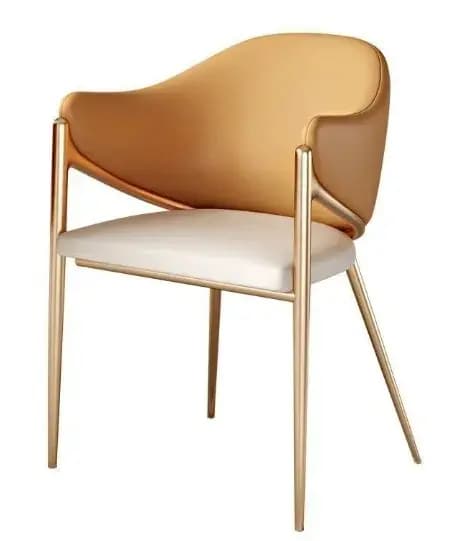 Fauteuils modernes de luxe pour salon