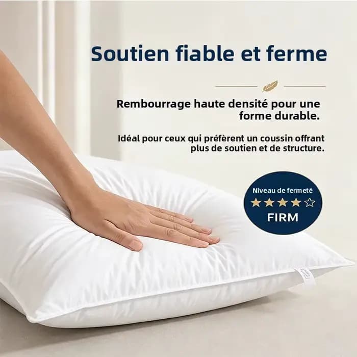 40x60 50x70 45x70cm 100% coton duvet d'oie oreiller dossier siège canapé chaise assise taille repose-pieds lit coussin coussin oreiller remplissage