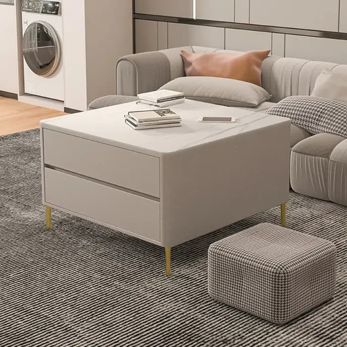Meubles de Salon Modernes de Luxe : Vitrine Tendance au Design Esthétique Délicat