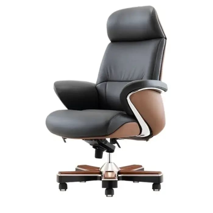 Chaise De rangement De luxe moderne ergonomique Salon esthétique