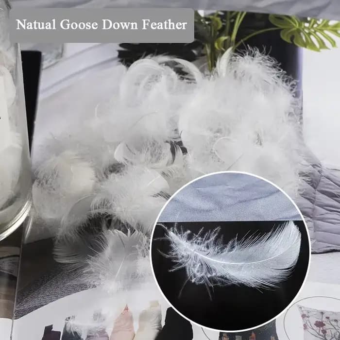 30*50/40*40/45*45/50*50/40*60/50*70cm 100% coton duvet d'oie reine roi plume chaise canapé dos coussin lit oreiller