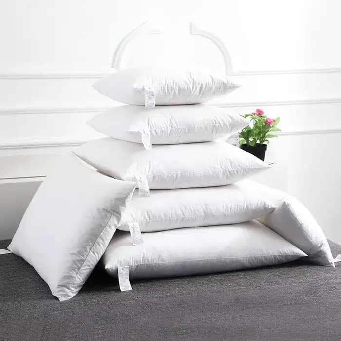 30*50/40*40/45*45/50*50/40*60/50*70cm 100% coton duvet d'oie reine roi plume chaise canapé dos coussin lit oreiller