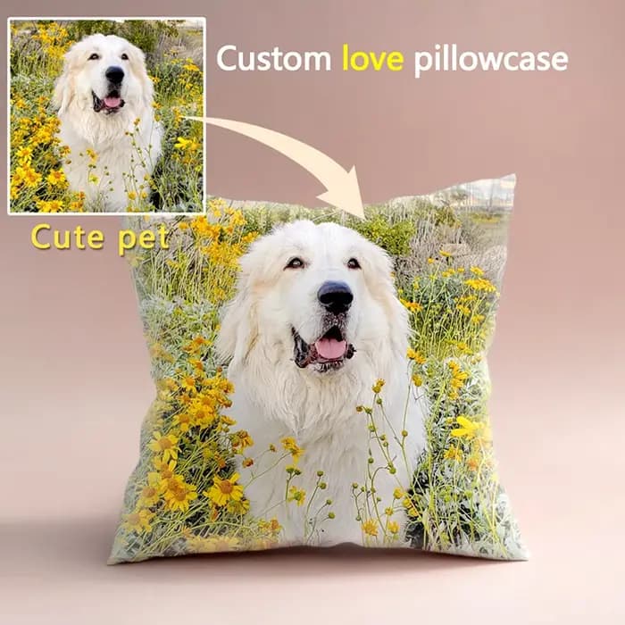 Housse de coussin personnalisée, Support personnalisé, oreiller pour chaises, coussins décoratifs pour la maison, pour canapé, 45x45