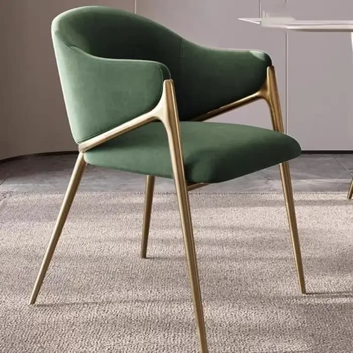 Fauteuils modernes de luxe pour salon