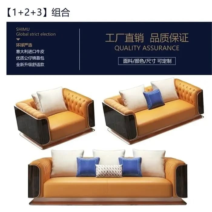 Canapé minimaliste de luxe de Style ascenseur