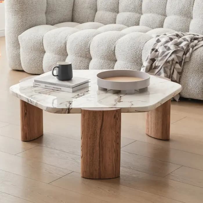 Table Basse esthétique De beauté nordique Premium minimaliste