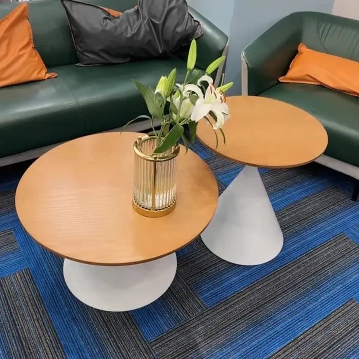 Table Basse esthétique nordique ensembles ronds modernes uniques