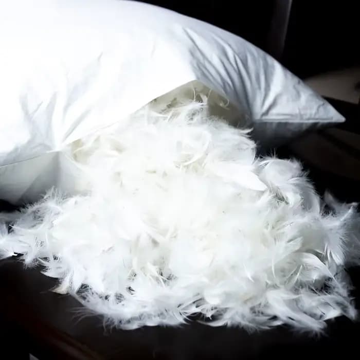 Coussin carré en plumes d'oie 100% coton