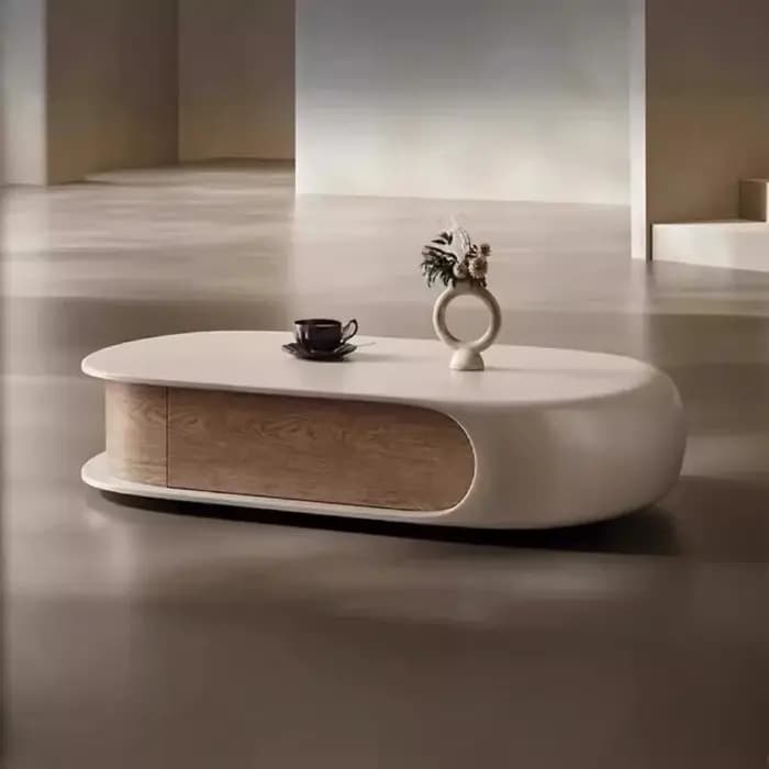 Organisateur ornements Table basse Unique nordique esthétique luxe