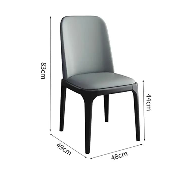 Ensemble de 2 chaises de salle à manger modernes