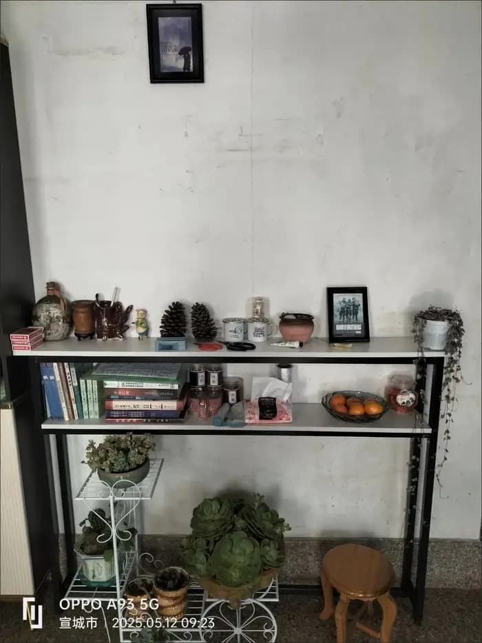 Étagère arrière multifonctionnelle pour canapé de salon