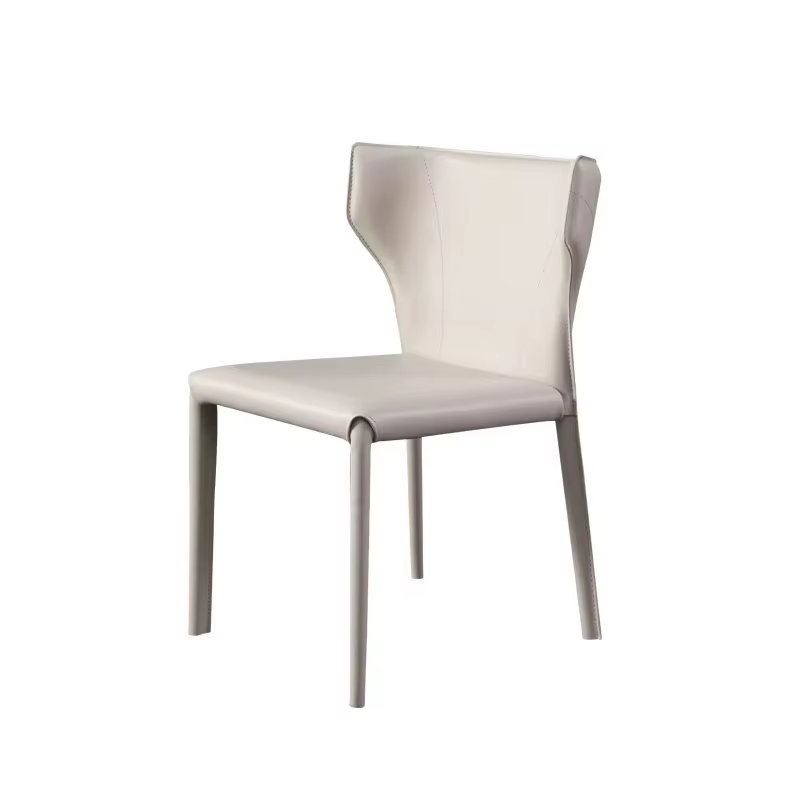 Ensemble de 2 chaises de salle à manger ergonomiques, esthétiques, confortables, modernes, de luxe, 
